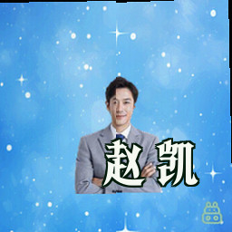 赵凯