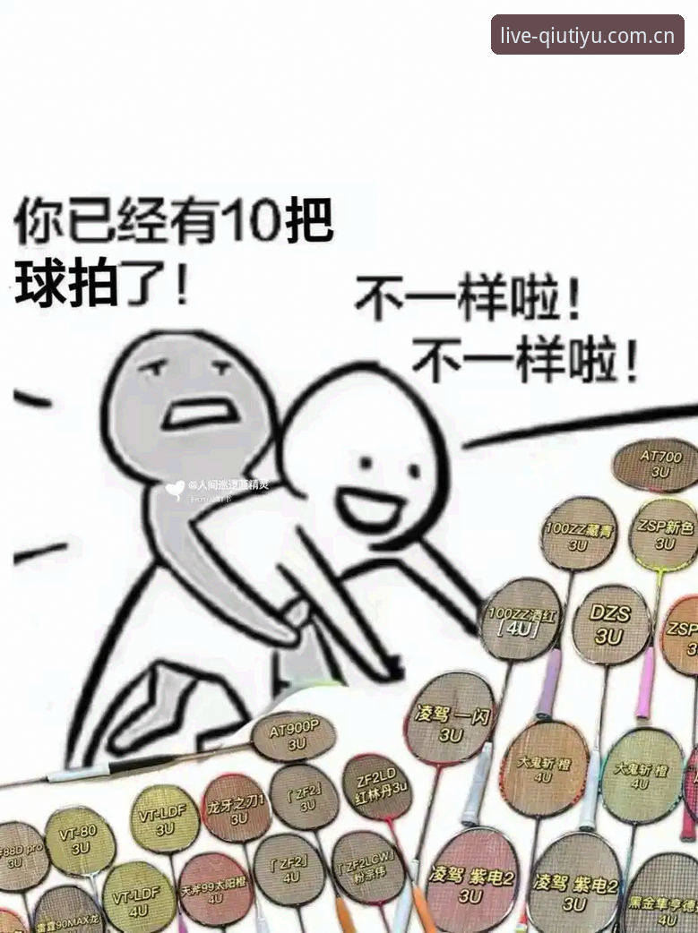 从新手到老用户：球速体育怎么下载官方下载的完整使用心得